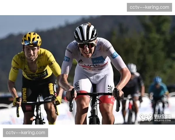 英力士车队与19岁英国天才汤姆·派迪福德签下首份职业合同